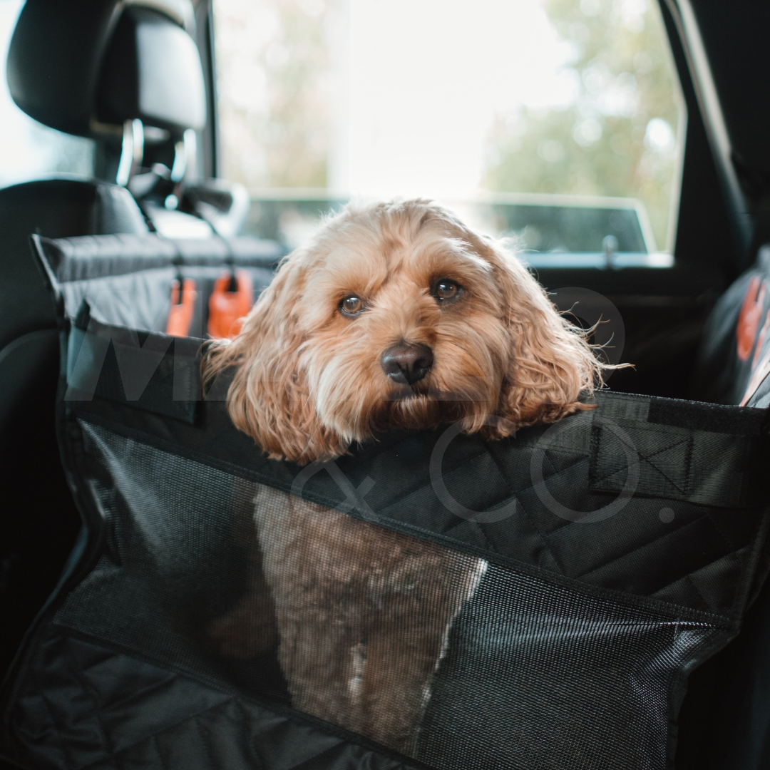 Marlo&Co™ Single Travel Seat
