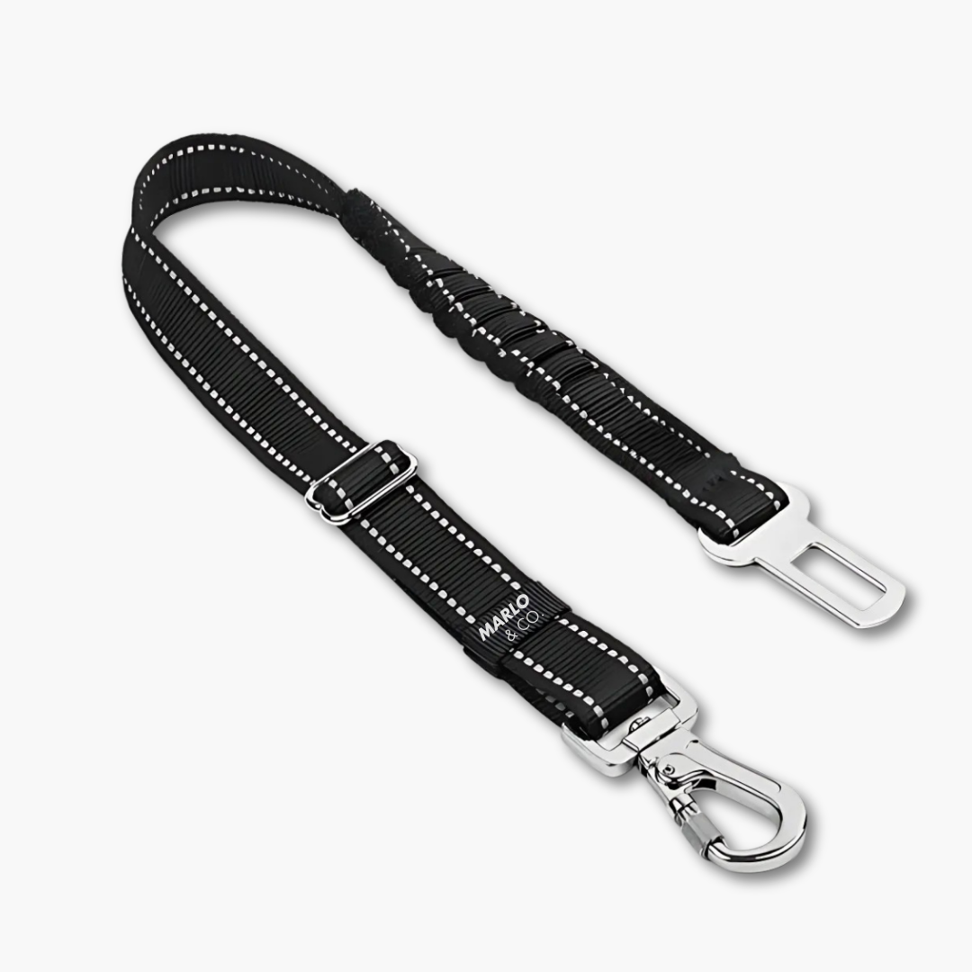 Dog Seat Belt