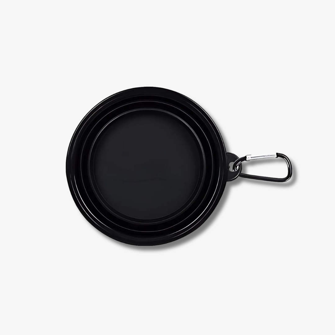 Travel Collapsible Dog Bowl