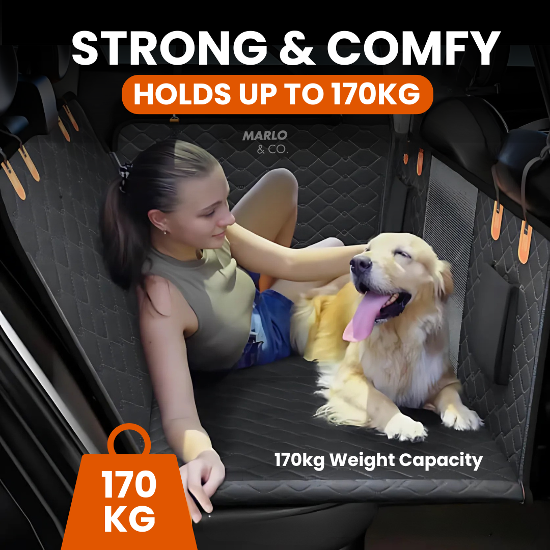 Marlo&Co.™ Dog Seat ($150 OFF + Free Dog Belt & Seat Straps!)