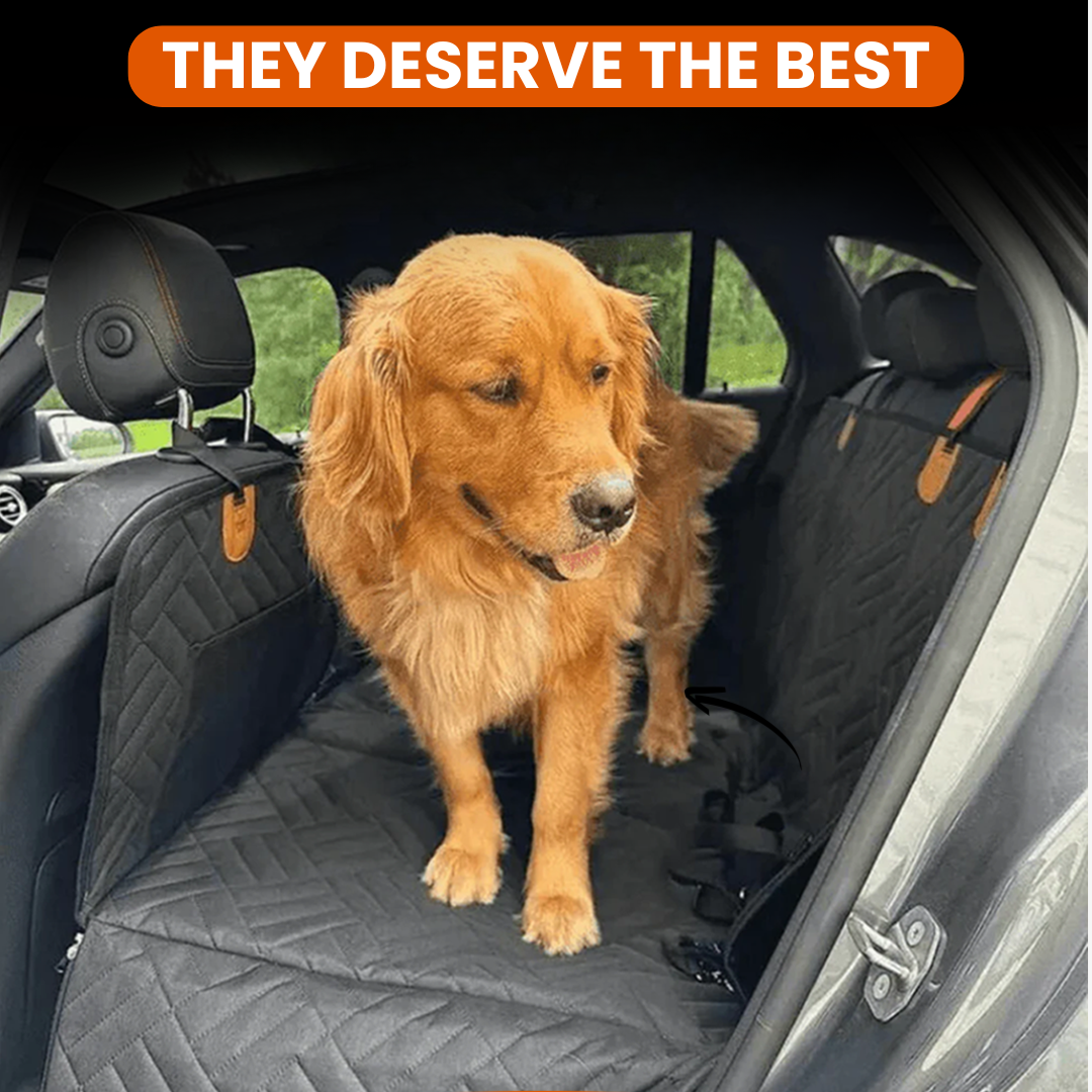 Marlo&Co.™ Dog Seat ($150 OFF + Free Dog Belt & Seat Straps!)