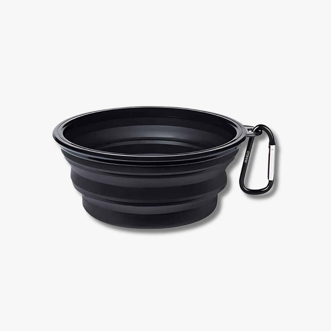 Travel Collapsible Dog Bowl