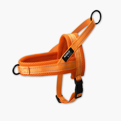 Dog Harness