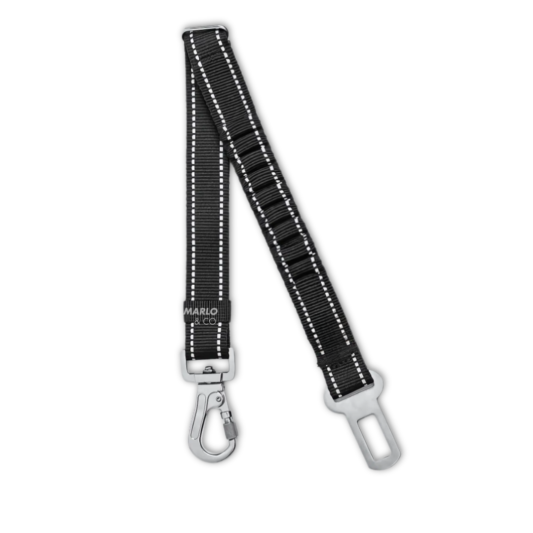 Dog Seat Belt Bungee