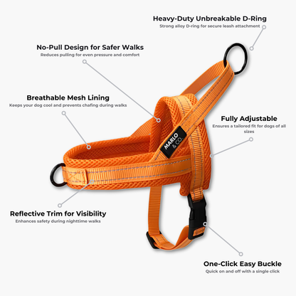Dog Harness