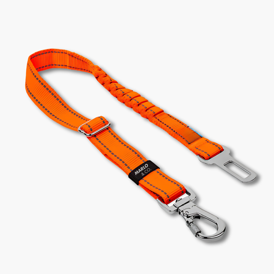Dog Seat Belt