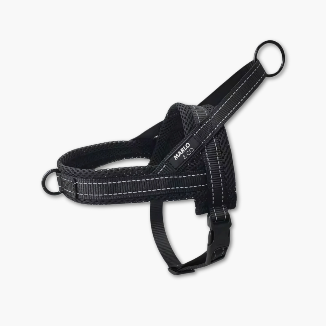Dog Harness