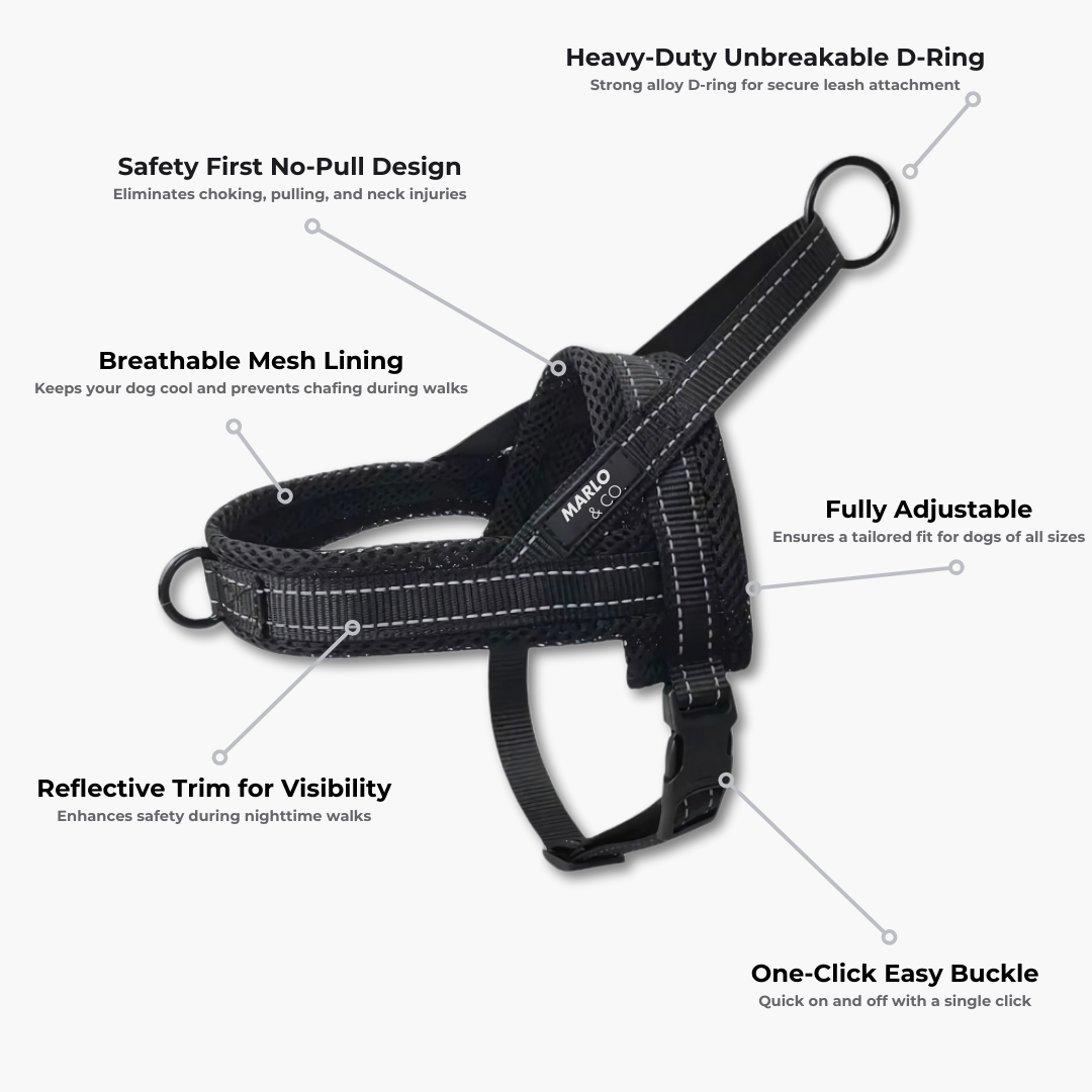 Dog Harness