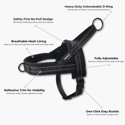 Dog Harness