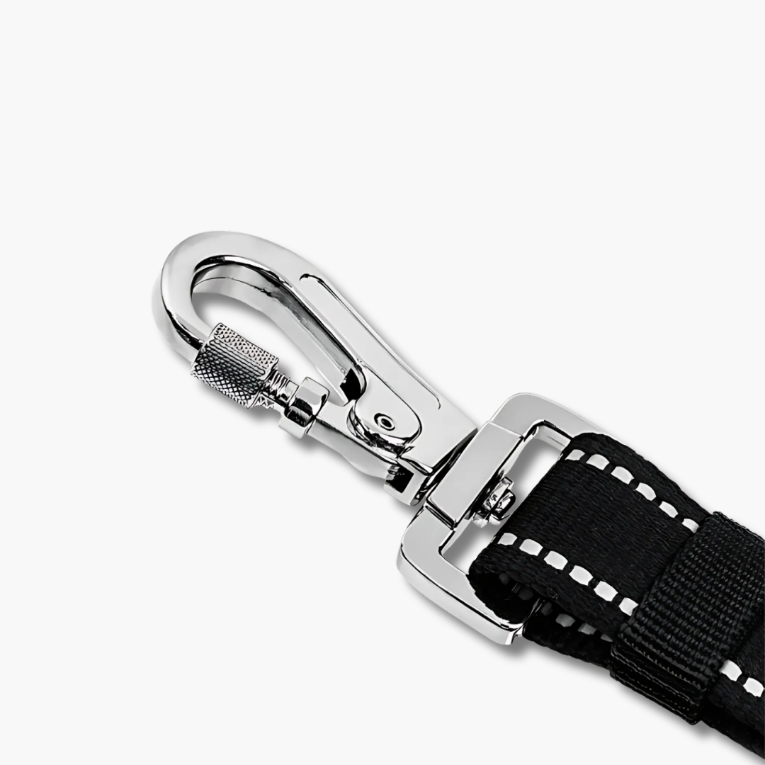 Dog Seat Belt
