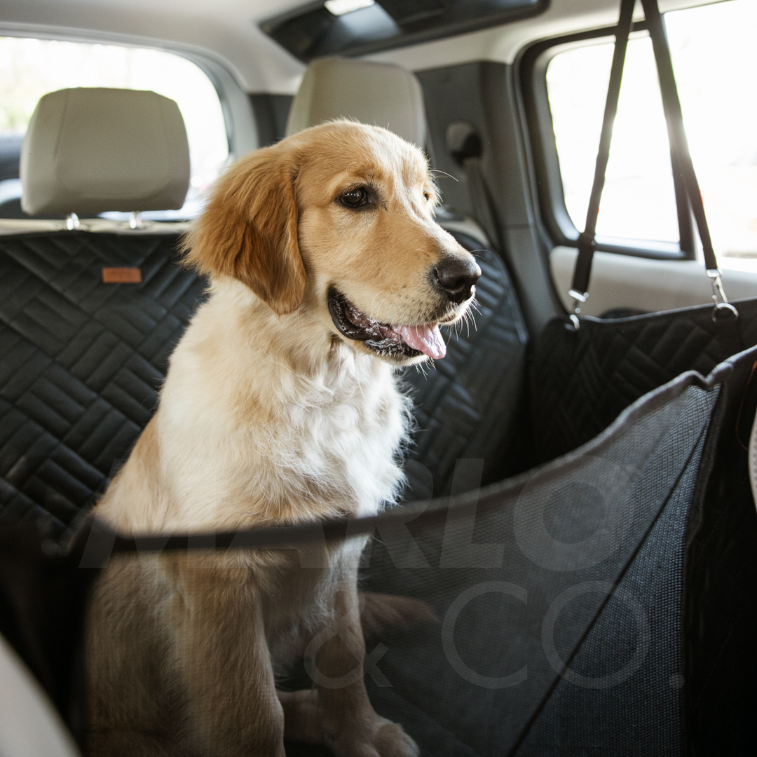 Marlo&Co™ Dog Seat Cover $150 OFF + 3 Free Gifts
