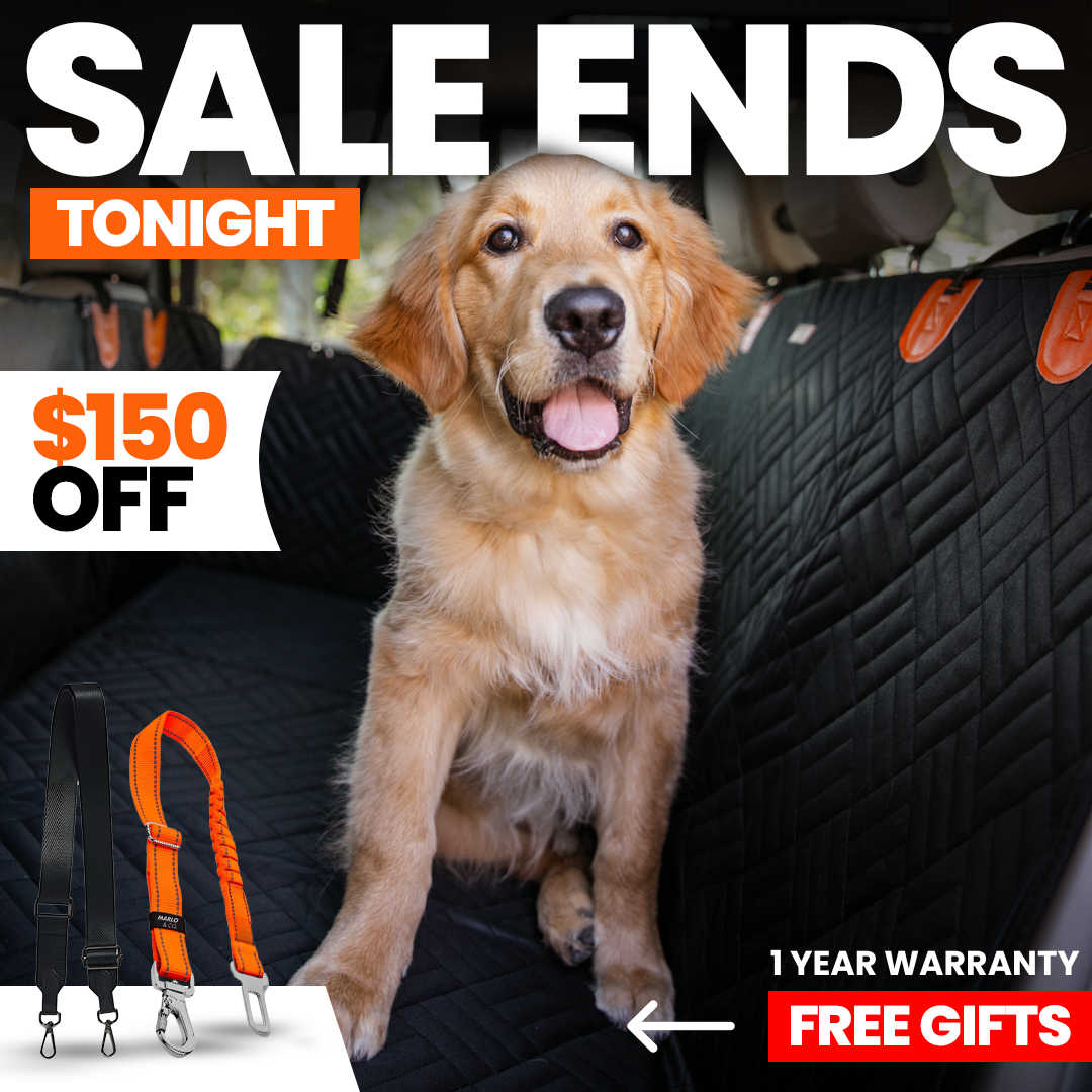 Marlo&Co™ Dog Seat Cover $150 OFF + 3 Free Gifts