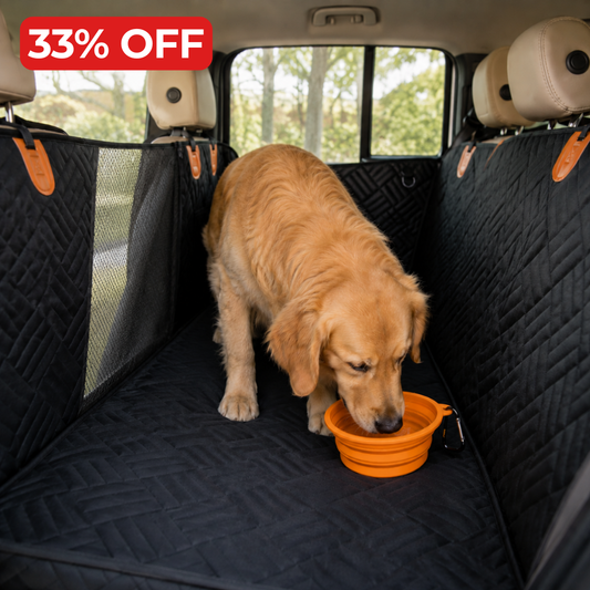 Travel Collapsible Dog Bowl