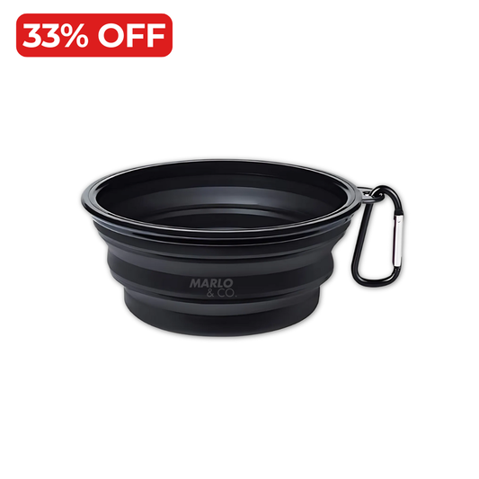 Travel Collapsible Dog Bowl