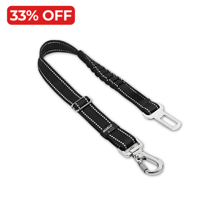 Dog Seat Belt Bungee